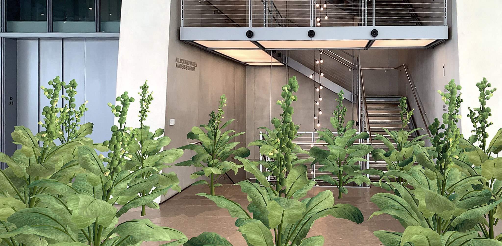 The lobby of the Whitney Museum with augmented reality tobacco plants growing from the floor