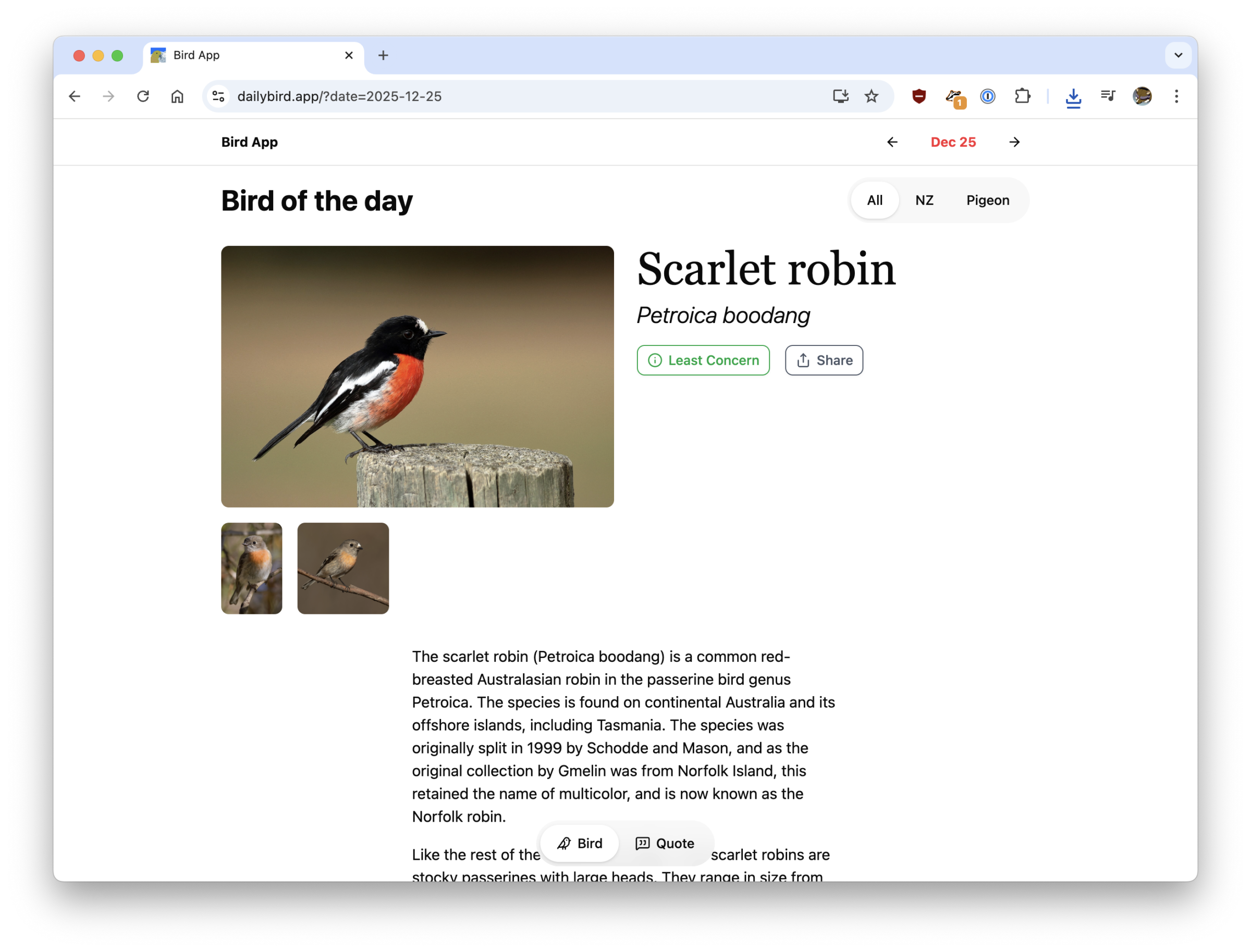 Webpage titled Bird of the Day showing a large image of a Scarlet Robin.