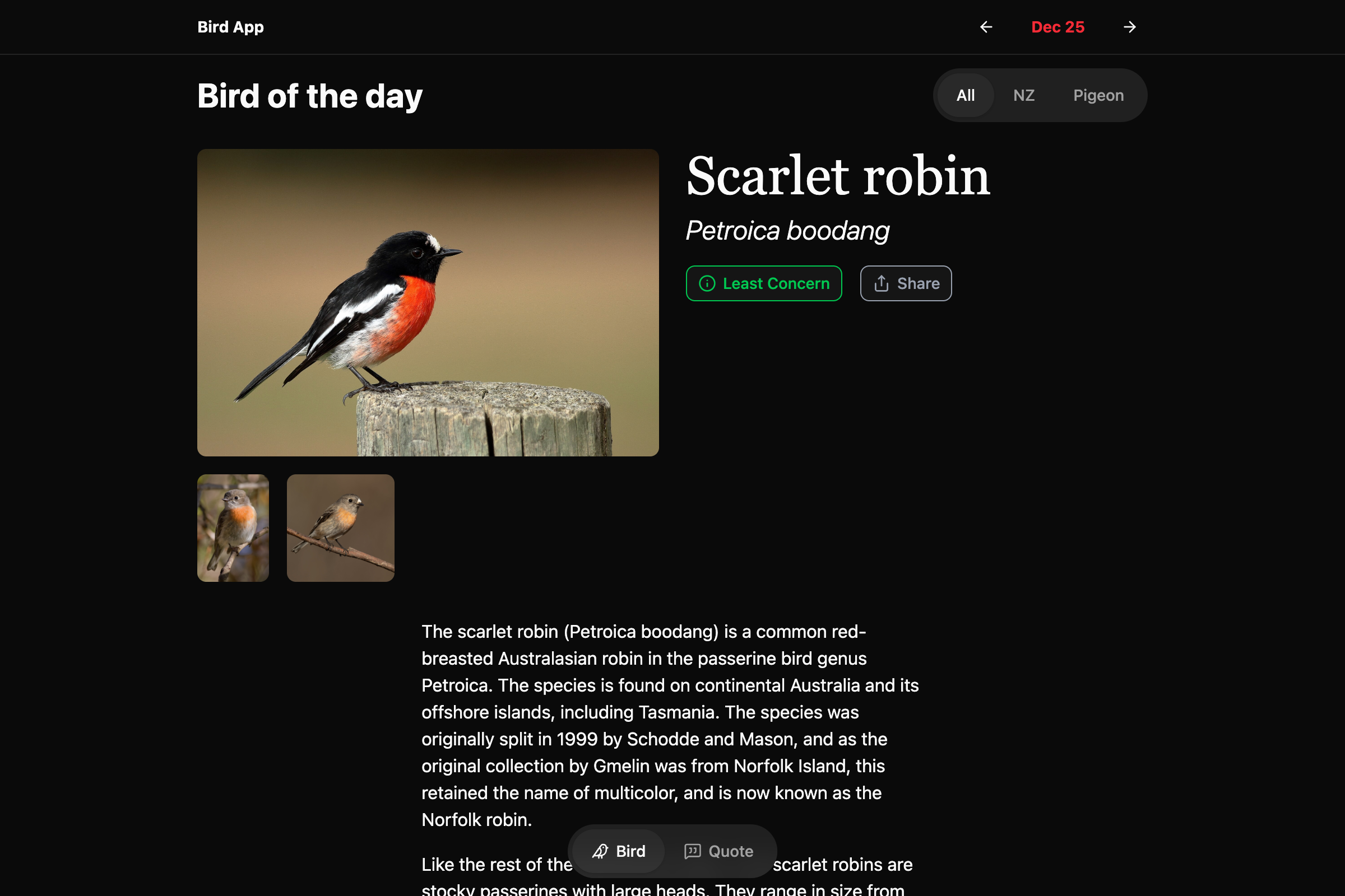Webpage titled Bird of the Day showing a large image of a Scarlet Robin.